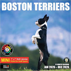 RED EMBER Boston Terriers 2026 Mini Wall Calendar 12 Month | 7" x 14" Open | Thick & Sturdy Paper | Holiday Gift | Cute Puppy Dog Calendar 2026