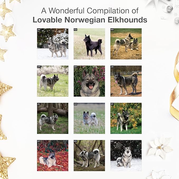 RED EMBER Norwegian Elkhounds 2026 Wall Calendar 12 Month | 12" x 24" Open | Thick & Sturdy Paper | Holiday Gift | Cute Puppy Dog Calendar 2026