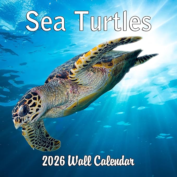 2026 Sea Turtles Monthly Wall Calendar | Cute Animals Sea Creatures Calendar 2025-2026