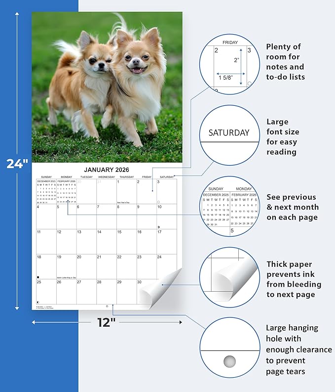 2026 Chihuahuas Monthly Wall Calendar | Cute Dogs Calendar September 2025 - December 2026