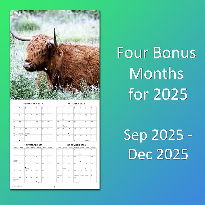 2026 Highland Cows Monthly Wall Calendar | Cute Animals Calendar 2025-2026