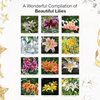RED EMBER Lilies 2026 Wall Calendar 12 Month | 12" x 24" Open | Thick & Sturdy Paper | Holiday Gift | Flower Nature Calendar 2026