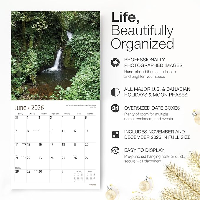 RED EMBER Rainforests 2026 Wall Calendar 12 Month | 12" x 24" Open | Thick & Sturdy Paper | Holiday Gift | Nature Calendar 2026