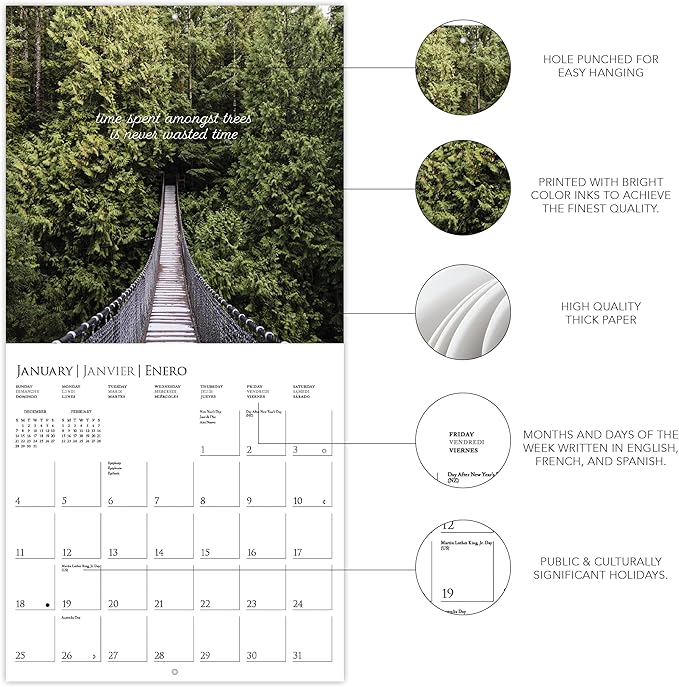 Graphique 2026 Into the Woods Wall Calendar | 12” x 12” | Thick Paper | Home & Office Organizer | Large Monthly Grid | 3 Languages & Marked Holidays | 4 Month Preview Page for 2027