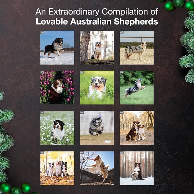 MICASA PRESS Australian Shepherds Aussies 2026 Wall Calendar 12 Month | 12" x 24" Open | Thick & Sturdy Paper | Holiday Gift | Cute Puppy Dog Calendar 2026