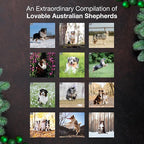 MICASA PRESS Australian Shepherds Aussies 2026 Wall Calendar 12 Month | 12" x 24" Open | Thick & Sturdy Paper | Holiday Gift | Cute Puppy Dog Calendar 2026