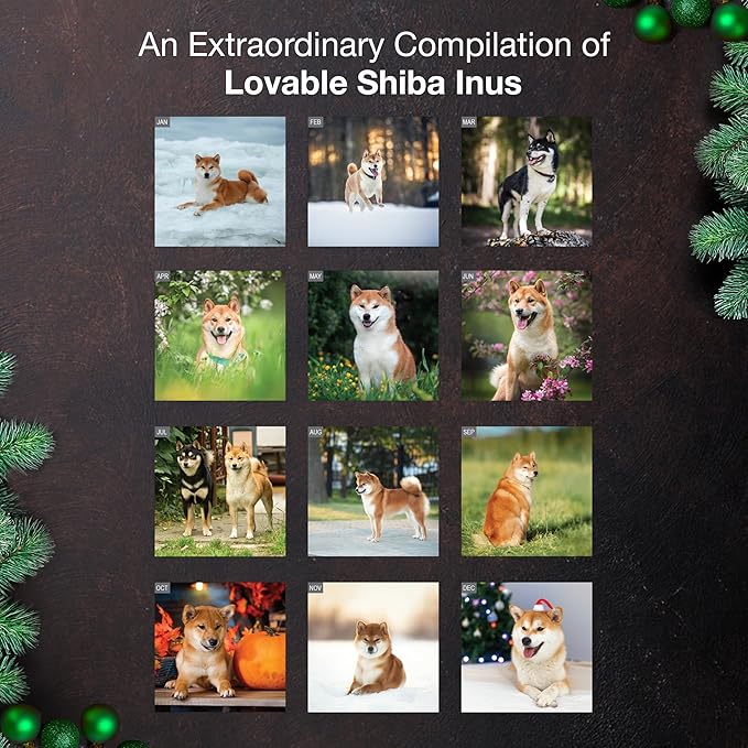 MICASA PRESS Shiba Inus 2026 Wall Calendar 12 Month | 12" x 24" Open | Thick & Sturdy Paper | Holiday Gift | Cute Puppy Dog Calendar 2026