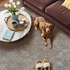 GENIMO 6x9 Area Rugs for Living Room, Machine Washable Non Slip Vintage Rugs, Low Pile Lightweight Chenille Print Rug for Bedroom, Dining Room, Home Office, Grayish Blue