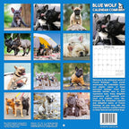2026 French Bulldogs Monthly Wall Calendar | Cute Dog Calendar 2025-2026