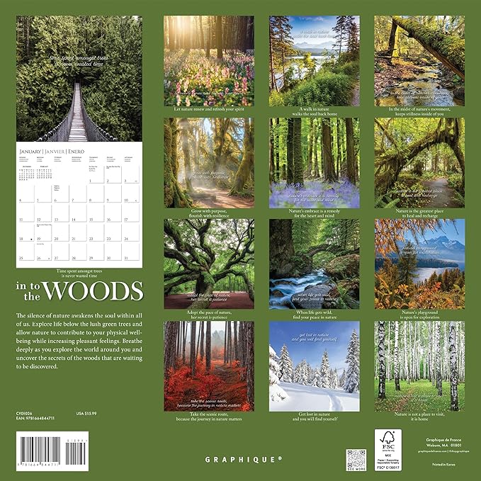 Graphique 2026 Into the Woods Wall Calendar | 12” x 12” | Thick Paper | Home & Office Organizer | Large Monthly Grid | 3 Languages & Marked Holidays | 4 Month Preview Page for 2027