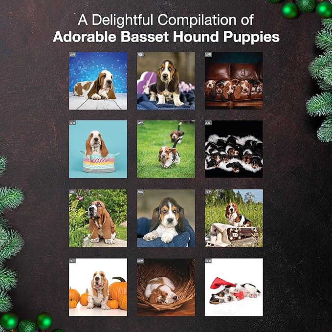 MICASA PRESS Basset Hound Puppies 2026 Wall Calendar 12 Month | 12" x 24" Open | Thick & Sturdy Paper | Holiday Gift | Cute Puppy Dog Calendar 2026