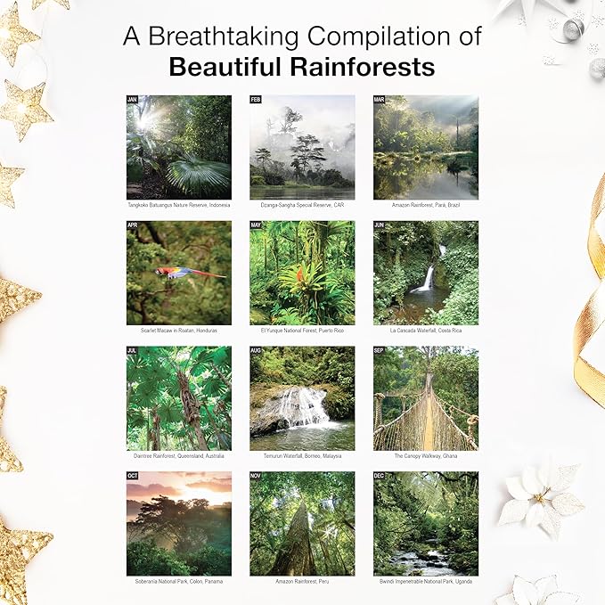 RED EMBER Rainforests 2026 Wall Calendar 12 Month | 12" x 24" Open | Thick & Sturdy Paper | Holiday Gift | Nature Calendar 2026