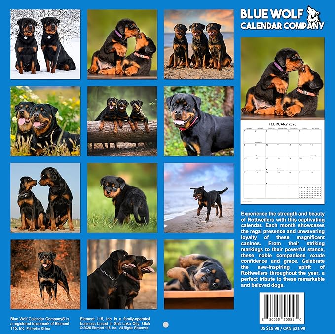 2026 Rottweilers Monthly Wall Calendar | Dogs Calendar September 2025 - December 2026