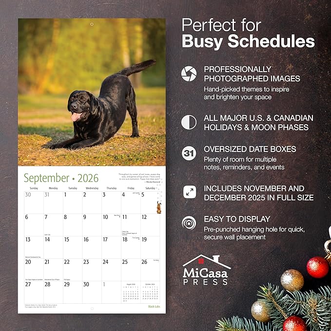 MICASA PRESS Black Labs 2026 Wall Calendar 12 Month | 12" x 24" Open | Thick & Sturdy Paper | Holiday Gift | Cute Labrador Retriever Puppy Dog Calendar 2026