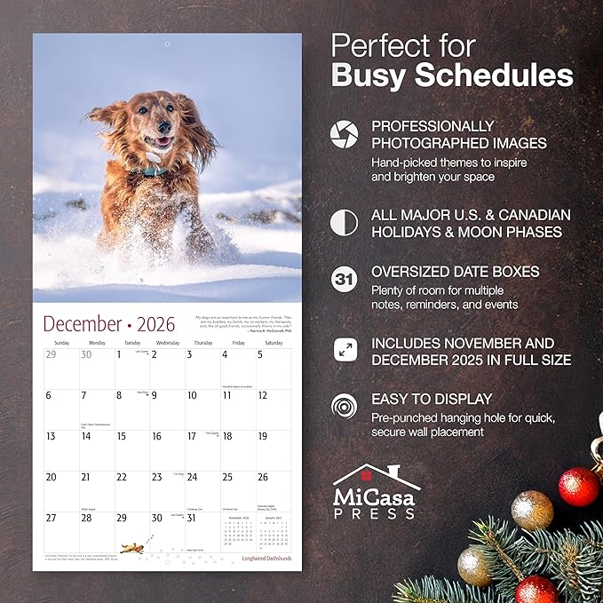 MICASA PRESS Longhaired Dachshunds 2026 Wall Calendar 12 Month | 12" x 24" Open | Thick & Sturdy Paper | Holiday Gift | Cute Puppy Weiner Dog Calendar 2026