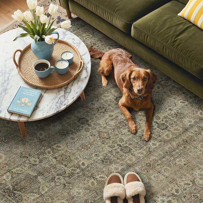 GENIMO 2x3 Area Rugs for Living Room, Machine Washable Non Slip Vintage Rugs, Low Pile Lightweight Chenille Print Rug for Bedroom, Dining Room, Home Office, Green Khaki