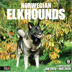RED EMBER Norwegian Elkhounds 2026 Wall Calendar 12 Month | 12" x 24" Open | Thick & Sturdy Paper | Holiday Gift | Cute Puppy Dog Calendar 2026