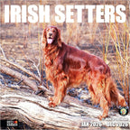 RED EMBER Irish Setters 2026 Wall Calendar 12 Month | 12" x 24" Open | Thick & Sturdy Paper | Holiday Gift | Cute Puppy Dog Calendar 2026