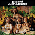 MICASA PRESS Longhaired Dachshund Puppies 2026 Wall Calendar 12 Month | 12" x 24" Open | Thick & Sturdy Paper | Holiday Gift | Cute Weiner Puppy Dog Calendar 2026