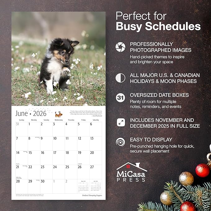 MICASA PRESS Shetland Sheepdog Puppies 2026 Wall Calendar 12 Month | 12" x 24" Open | Thick & Sturdy Paper | Holiday Gift | Cute Sheltie Puppy Dog Calendar 2026