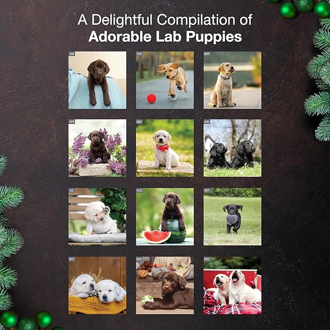 MICASA PRESS Lab Puppies 2026 Wall Calendar 12 Month | 12" x 24" Open | Thick & Sturdy Paper | Holiday Gift | Cute Labrador Retriever Puppy Dog Calendar 2026