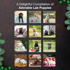 MICASA PRESS Lab Puppies 2026 Wall Calendar 12 Month | 12" x 24" Open | Thick & Sturdy Paper | Holiday Gift | Cute Labrador Retriever Puppy Dog Calendar 2026