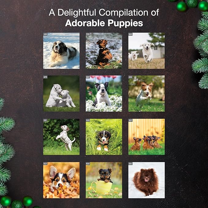 MICASA PRESS Puppies 2026 Wall Calendar 12 Month | 12" x 24" Open | Thick & Sturdy Paper | Holiday Gift | Cute Puppy Dog Calendar 2026