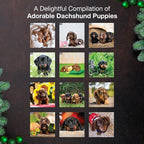 MICASA PRESS Dachshund Puppies 2026 Mini Wall Calendar 12 Month | 7" x 14" Open | Thick & Sturdy Paper | Holiday Gift | Cute Puppy Weiner Dog Calendar 2026