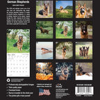 MICASA PRESS - German Shepherds 2025 Wall Calendar 12 Month | 12" x 24" Open | Thick & Sturdy Paper | Giftable | Dog Calendar 2025