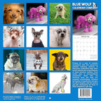 2026 Ugly Dogs Monthly Wall Calendar | Funny White Elephant Gift Gag Gift Calendar September 2025 - December 2026