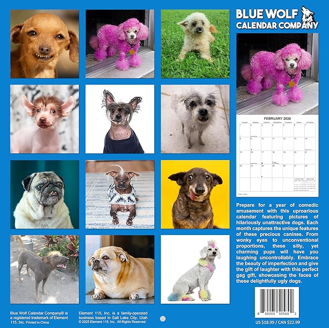 2026 Ugly Dogs Monthly Wall Calendar | Funny White Elephant Gift Gag Gift Calendar September 2025 - December 2026