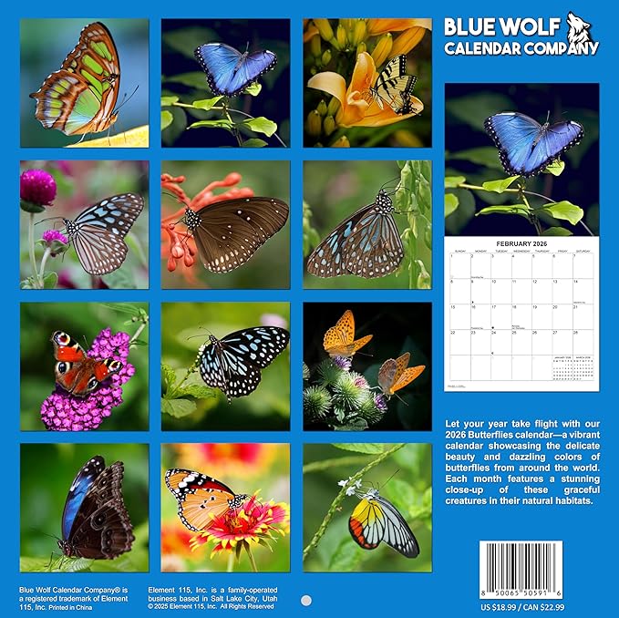 2026 Butterflies Monthly Wall Calendar | Insects Calendar 2025-2026
