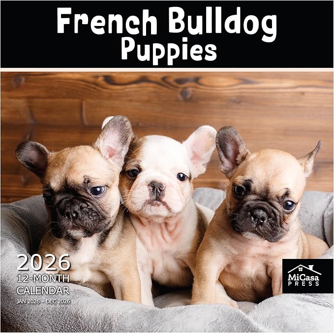 MICASA PRESS French Bulldog Puppies 2026 Wall Calendar 12 Month | 12" x 24" Open | Thick & Sturdy Paper | Holiday Gift | Cute Frenchie Puppy Dog Calendar 2026