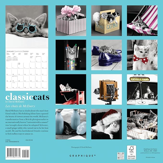 Graphique 2026 Classic Cats Wall Calendar | 12” x 12” | Thick Paper | Home & Office Organizer | Large Monthly Grid | 3 Languages & Marked Holidays | 4 Month Preview Page for 2027
