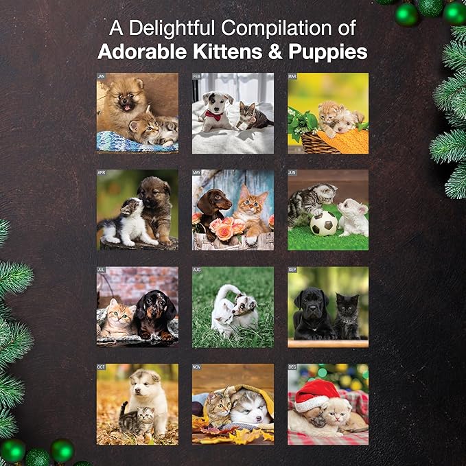 MICASA PRESS Kittens & Puppies | 2026 Wall Calendar 12 Month | 12” x 24” Open | Thick & Sturdy Paper | Holiday Gift | Cute Pet Kitten Puppy Dog Cat Calendar 2026