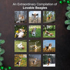 MICASA PRESS Beagles 2026 Wall Calendar 12 Month | 12" x 24" Open | Thick & Sturdy Paper | Holiday Gift | Cute Puppy Dog Calendar 2026