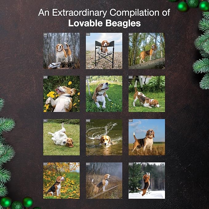 MICASA PRESS Beagles 2026 Wall Calendar 12 Month | 12" x 24" Open | Thick & Sturdy Paper | Holiday Gift | Cute Puppy Dog Calendar 2026