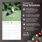 MICASA PRESS Australian Shepherds Aussies 2026 Wall Calendar 12 Month | 12" x 24" Open | Thick & Sturdy Paper | Holiday Gift | Cute Puppy Dog Calendar 2026