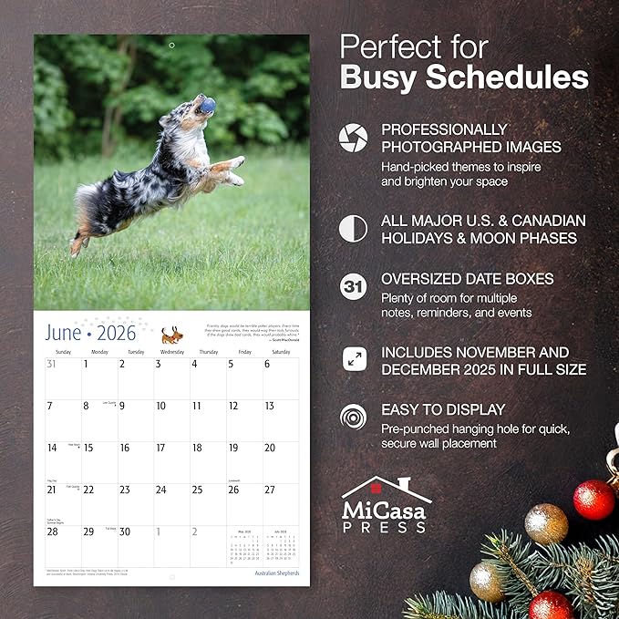 MICASA PRESS Australian Shepherds Aussies 2026 Wall Calendar 12 Month | 12" x 24" Open | Thick & Sturdy Paper | Holiday Gift | Cute Puppy Dog Calendar 2026