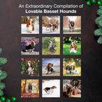 MICASA PRESS Basset Hounds 2026 Wall Calendar 12 Month | 12" x 24" Open | Thick & Sturdy Paper | Holiday Gift | Cute Puppy Dog Calendar 2026