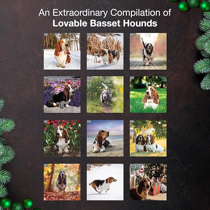 MICASA PRESS Basset Hounds 2026 Wall Calendar 12 Month | 12" x 24" Open | Thick & Sturdy Paper | Holiday Gift | Cute Puppy Dog Calendar 2026
