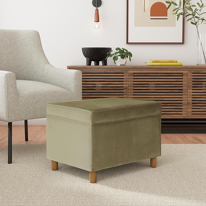 Spatial Order Home Decor | Dinah Collection Modern Storage Ottoman | Ottoman with Storage for Living Room & Bedroom(Light Sage Green Velvet)