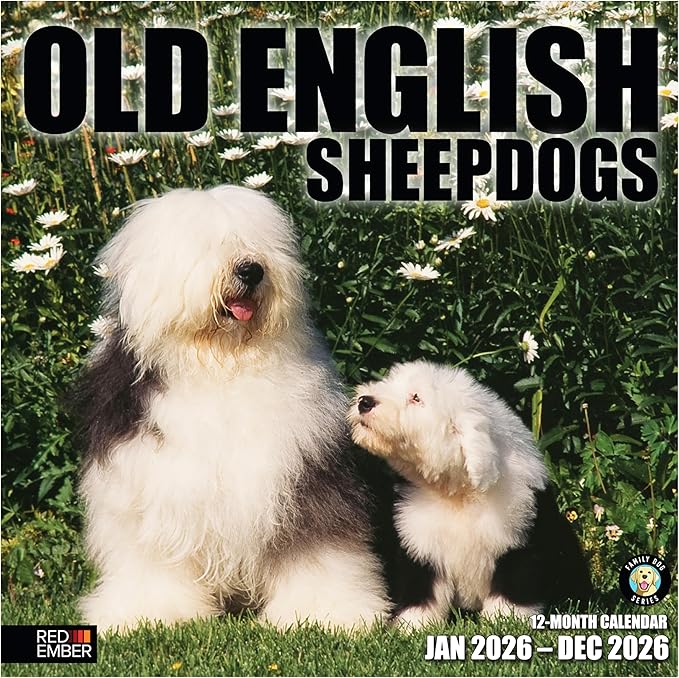 RED EMBER Old English Sheepdogs 2026 Wall Calendar 12 Month | 12" x 24" Open | Thick & Sturdy Paper | Holiday Gift | Cute Puppy Dog Calendar 2026