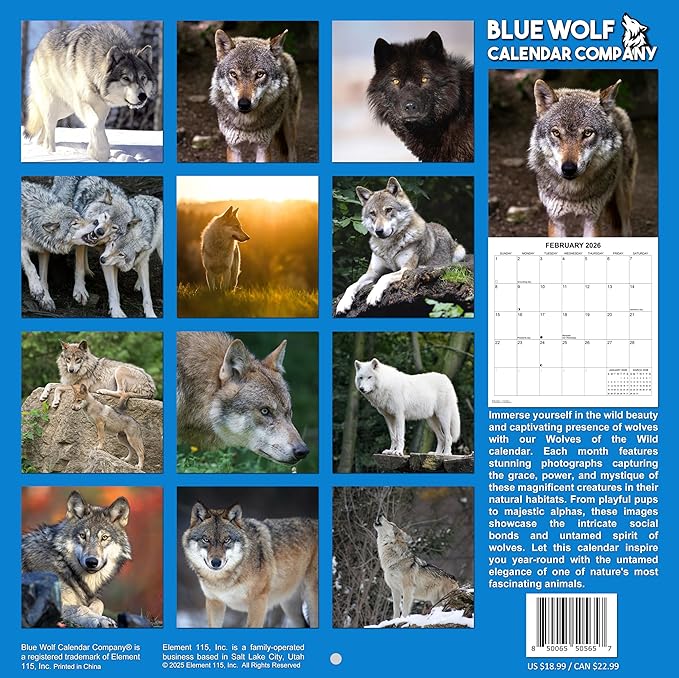 2026 Wolves of the Wild Monthly Wall Calendar | Wild Animals Calendar 2025-2026
