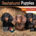 MICASA PRESS Dachshund Puppies 2026 Mini Wall Calendar 12 Month | 7" x 14" Open | Thick & Sturdy Paper | Holiday Gift | Cute Puppy Weiner Dog Calendar 2026