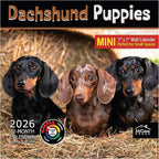 MICASA PRESS Dachshund Puppies 2026 Mini Wall Calendar 12 Month | 7" x 14" Open | Thick & Sturdy Paper | Holiday Gift | Cute Puppy Weiner Dog Calendar 2026