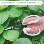 LOOPSEED Precision Gardening Scissors Plant Trimming Pruning Shears Garden Pruners for Orchid Bonsai Hydroponic Flower Clipper Garden Snip 8 Inch Long