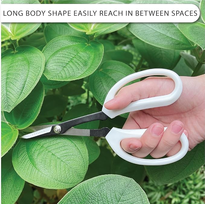 LOOPSEED Precision Gardening Scissors Plant Trimming Pruning Shears Garden Pruners for Orchid Bonsai Hydroponic Flower Clipper Garden Snip 8 Inch Long