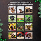 MICASA PRESS Dachshund Puppies 2026 Wall Calendar 12 Month | 12" x 24" Open | Thick & Sturdy Paper | Holiday Gift | Cute Puppy Weiner Dog Calendar 2026