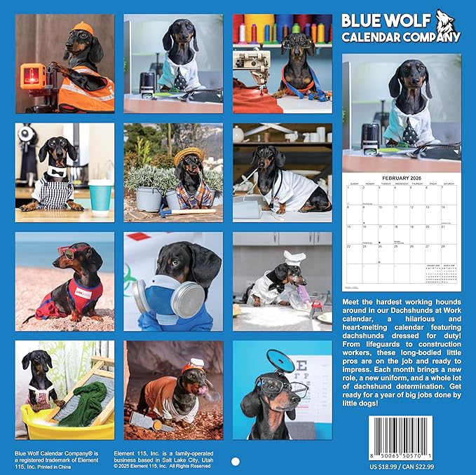 2026 Dachshunds at Work Weiner Dog Monthly Wall Calendar | Funny Wiener Dog Calendar September 2025 - December 2026